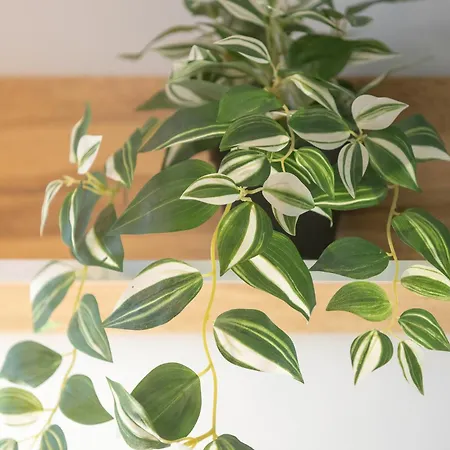 아파트 Unique Bright In By Renters